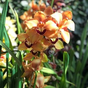 Meet your Posher, Michele